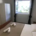 Silvano Apartment Murter